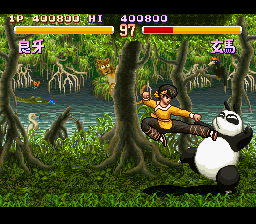 Ryouga kicking some panda butt.